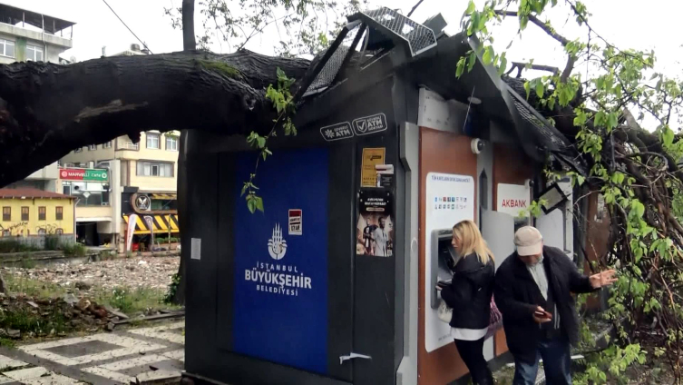 ATM'nin üzerine ağaç devrildi: Para çekmeye devam ettiler