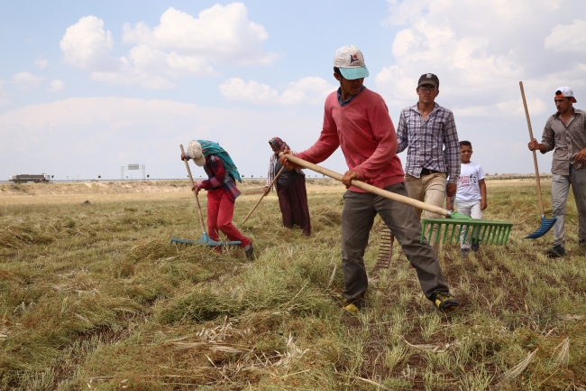 Tarımda istihdam martta 5 milyonu aştı