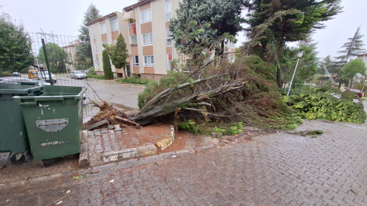 Fırtına tekneleri devirdi