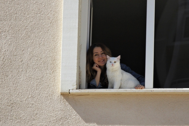 Van'ın en güzel kedisine evladı gibi bakıyor