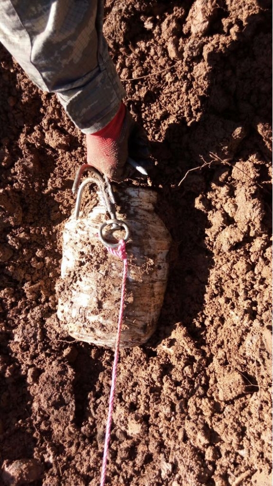 Bitlis'te terör operasyonu