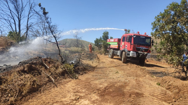 Bingöl'deki yangın büyümeden söndürüldü