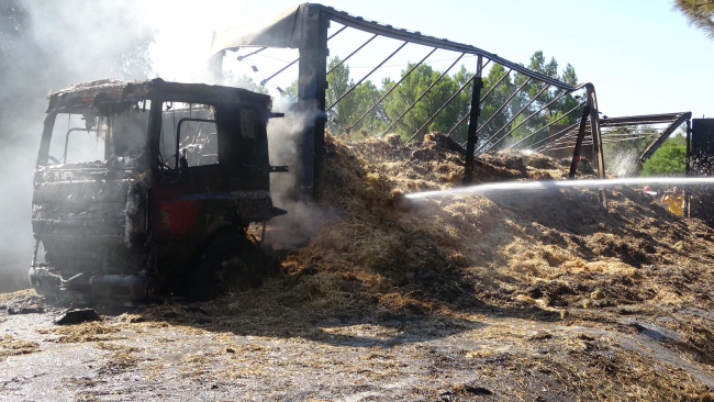 Saman yüklü tır alev topuna döndü, yangın ormana sıçradı