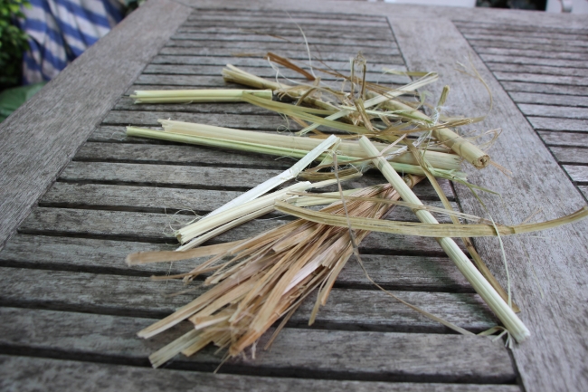 Kenevir üretiminde yeni dönem