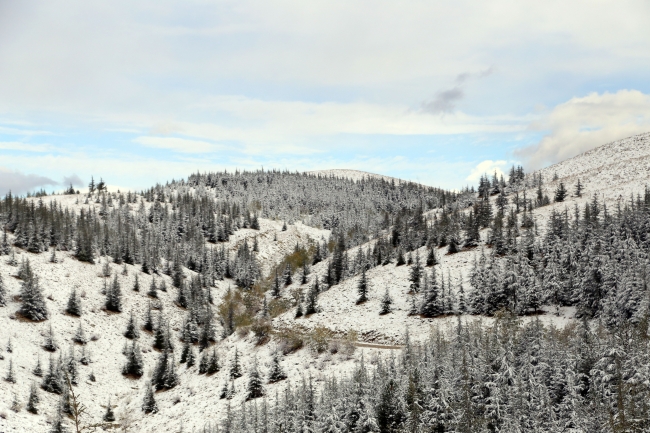 Kar yağışı yurtta etkisini gösteriyor