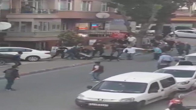 İstanbul'da köpek saldırısı: 3 yaralı