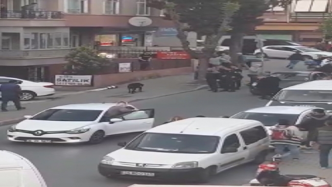 İstanbul'da köpek saldırısı: 3 yaralı