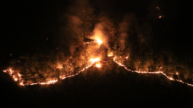 Milas'taki orman yangınını söndürme çalışmaları devam ediyor