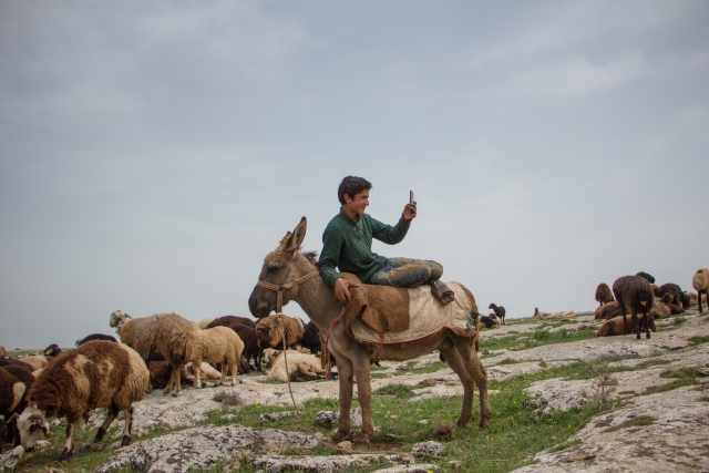 Göçerlerin 'yaz maratonu' başladı
