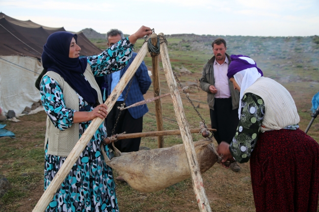 Koyungözü Yaylası'nın müdavimleri
