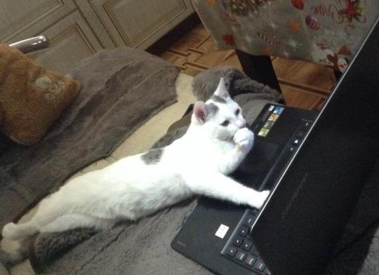 Güler misin, ağlar mısın? 22