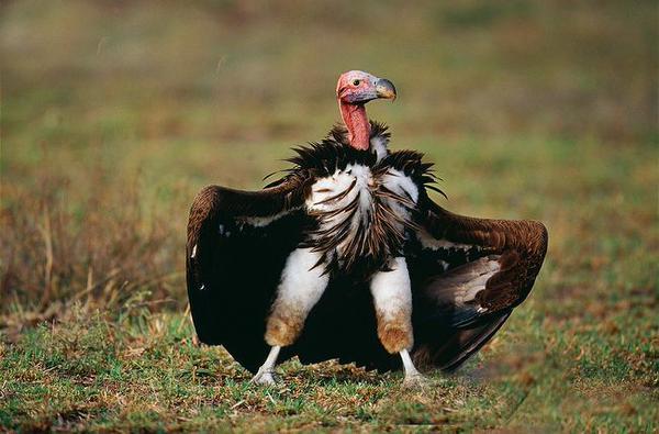 Güler misin, ağlar mısın? 22