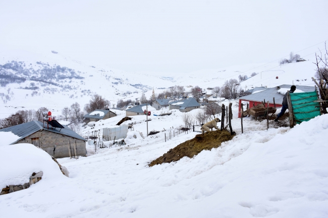 Kar ve tipi 31 yolu ulaşıma kapattı