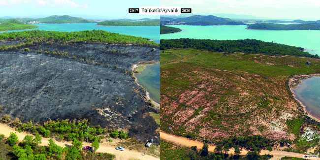 Yanan ormanların 'öncesi ve sonrası' fotoğrafları yayınlandı