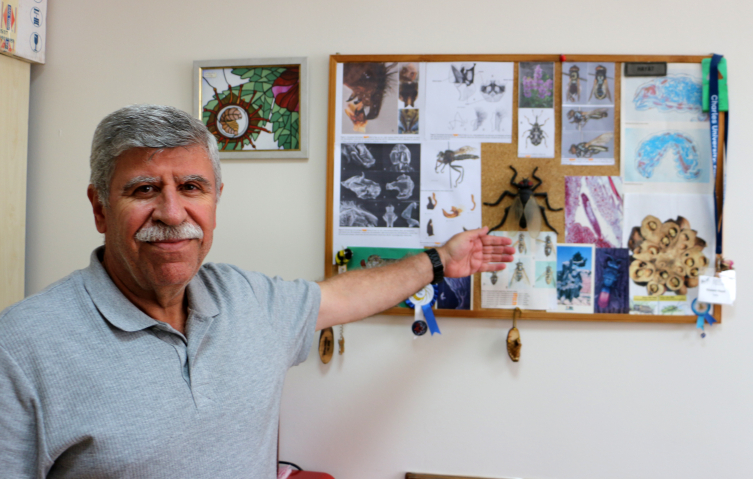 Fotoğraf: DHA
