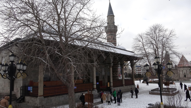 Cami bahçesindeki tarihi ağaçlar tescillendi