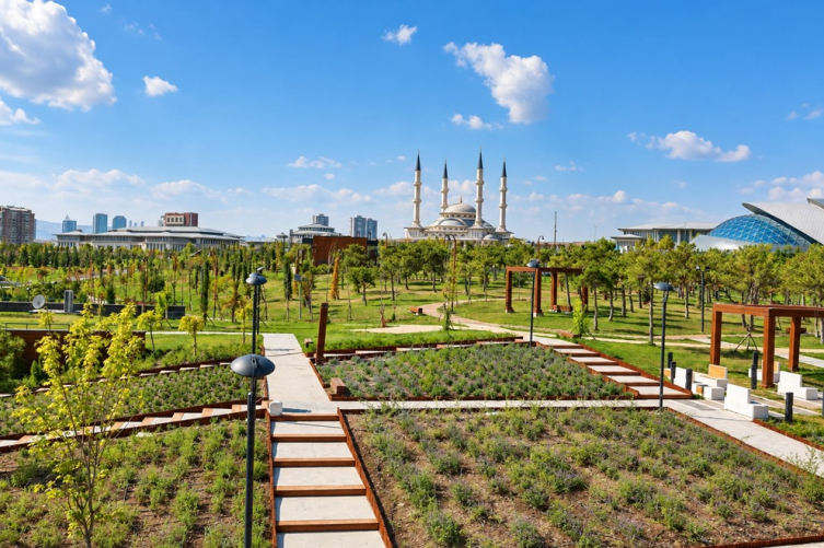 Fotoğraf: DHA