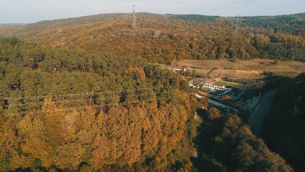 Sonbahar renklerine bürünen İstanbul ormanları