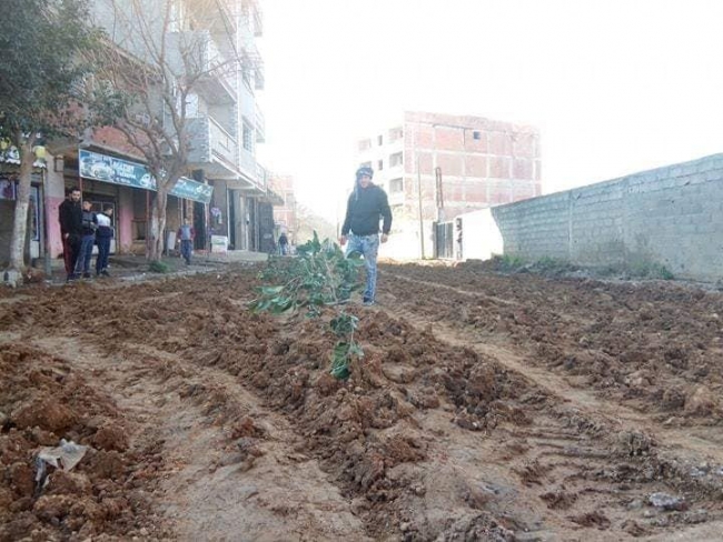 Belediye asfalt dökmeyince yola patates ve soğan ektiler