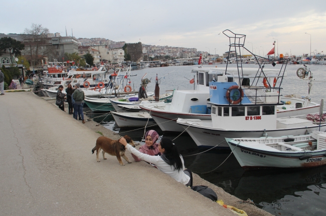 Türkiye'nin en mutlu ili Sinop 1 milyon ziyaretçi hedefine ulaştı