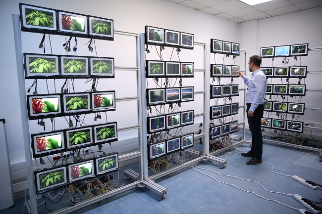 Yerli kablosuz uçak içi eğlence sisteminin ilk kullanıcısı THY oldu