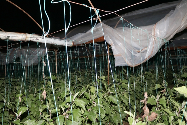 Muğla'da kuvvetli fırtına hasara yol açtı