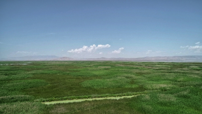 Yağışlar Akşehir Gölü'ne can suyu oldu