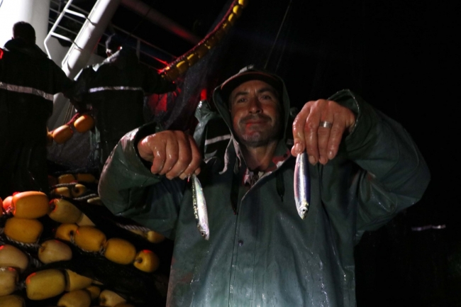 Çanakkale'de sardalya bereketi balıkçıların yüzünü güldürdü