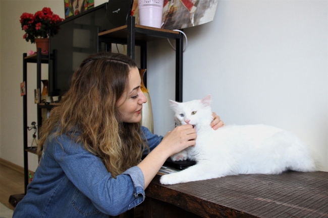 Van'ın en güzel kedisine evladı gibi bakıyor