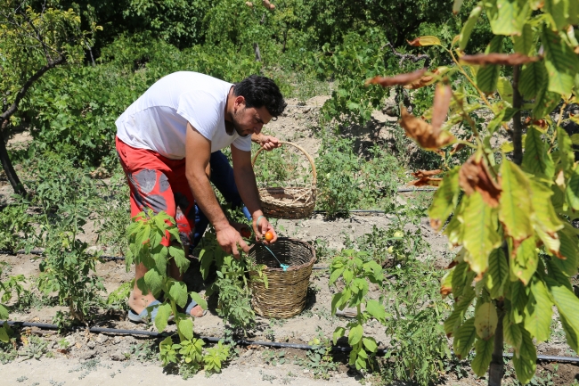 Tatilcilerin yeni gözdesi