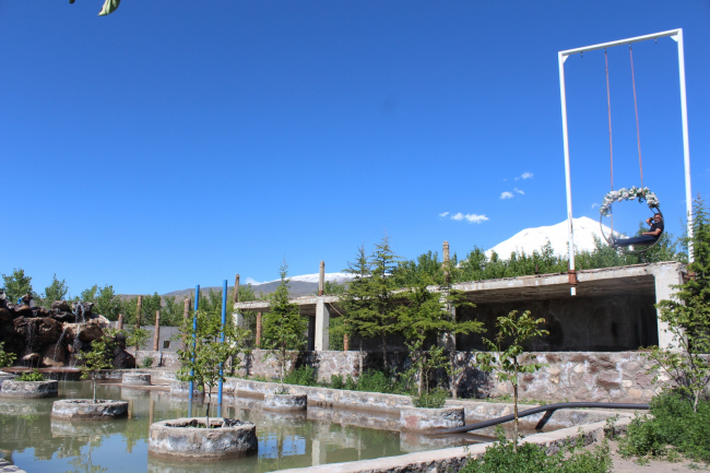 Ağrı Dağı'nın eteğinde vaha kurdu, 5 bin ağaç dikti