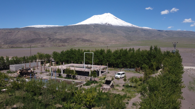 Ağrı Dağı'nın eteğinde vaha kurdu, 5 bin ağaç dikti