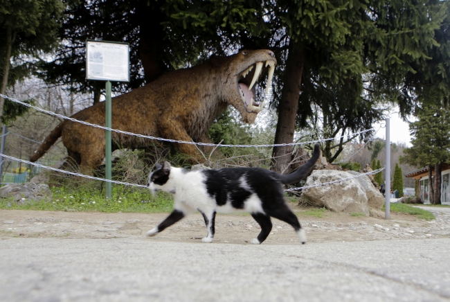Nesli tükenen hayvanları, heykelleriyle yaşatıyor