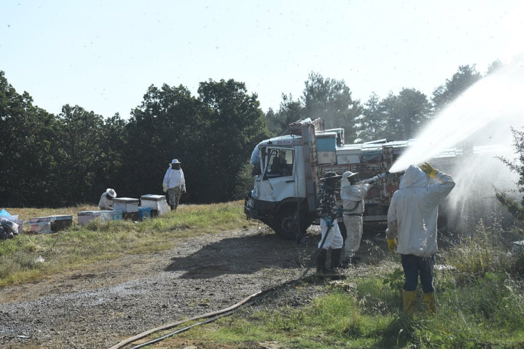 Edirne'de tır park halindeki 2 kamyonete çarptı: 4 ölü