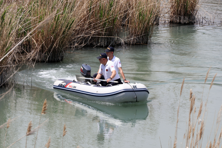 Van Gölü'ndeki inci kefali stoku 50 bin tona çıktı