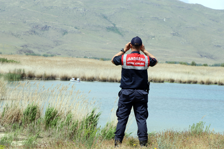 Van Gölü'ndeki inci kefali stoku 50 bin tona çıktı