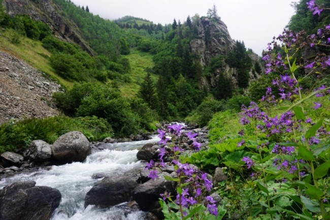 Karadeniz'in kültür envanteri kayıt altına alındı