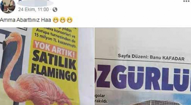 Flamingo sattığı için ceza yedi, 'abarttınız' dedi