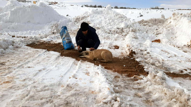 Gaziantep'te donmak üzere olan 75 hayvan kurtarıldı