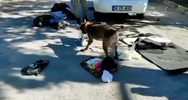Tost makinesinin içinden uyuşturucu çıktı