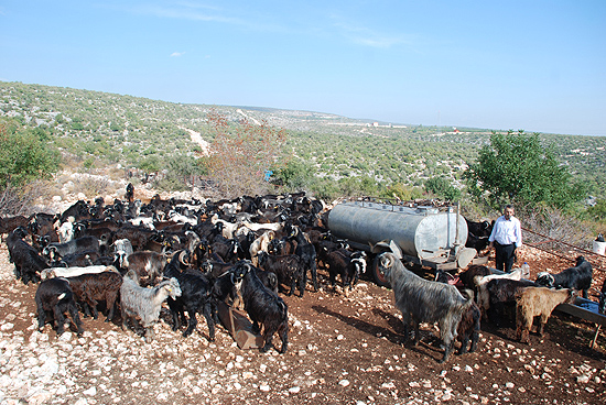 Sarıkeçili Yörükleri'nin dönüşü başladı