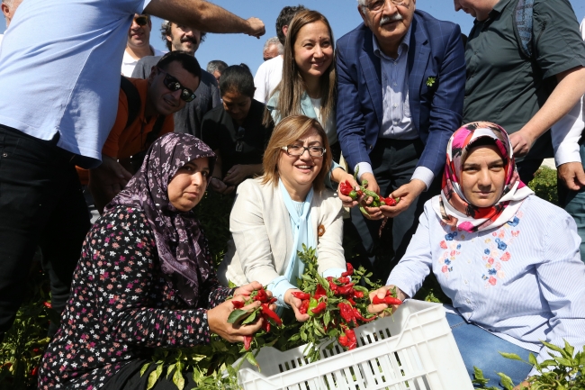 GastroAntep Festivali biber hasadıyla başladı