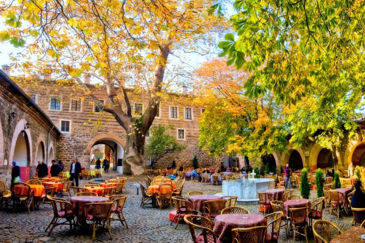 250 yıllık çınarın eski fotoğrafı. (DHA)