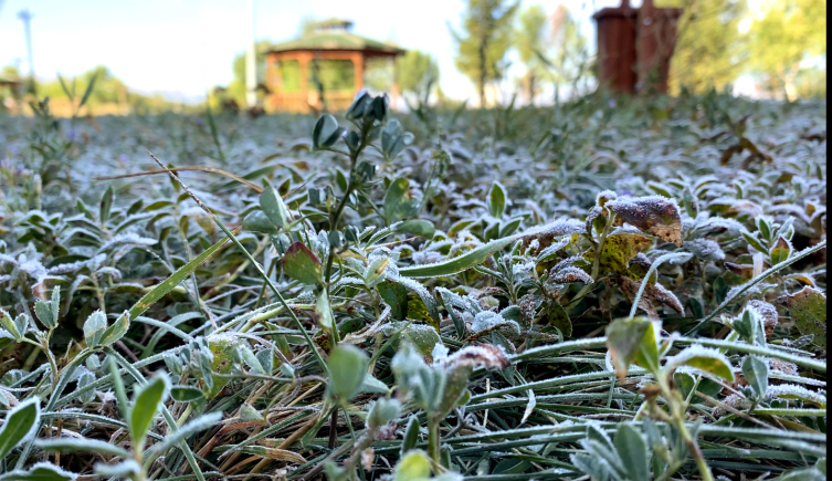 Ardahan’da sıcaklık eksiye düştü, otomobil camları buz tuttu