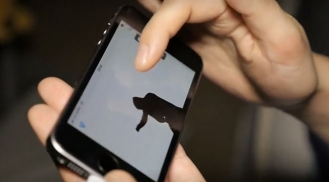 Japonya'da yalnız yaşayanlara "gölge adam" çözümü