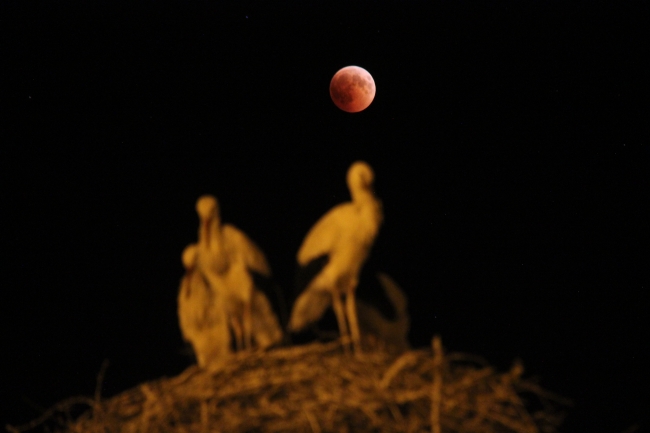 Türkiye ve dünyadan 'Kanlı Ay' tutulması manzaraları