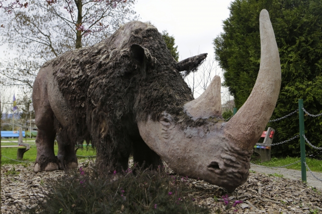 Nesli tükenen hayvanları, heykelleriyle yaşatıyor