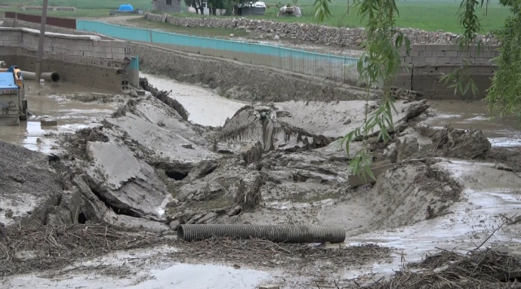 Muş'ta dere taştı: 35 ev hasar gördü, bir köprü yıkıldı