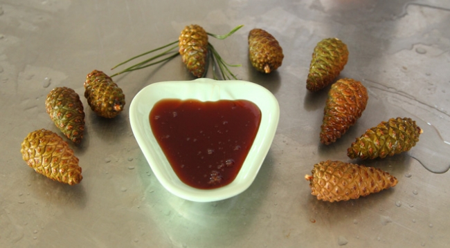 Çam kozalağı reçel ile tatlanıyor