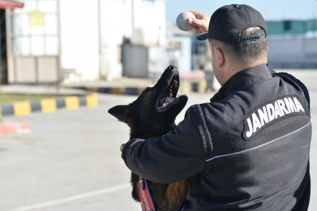 Terör ve uyuşturucuyla mücadelenin "keskin burunları"